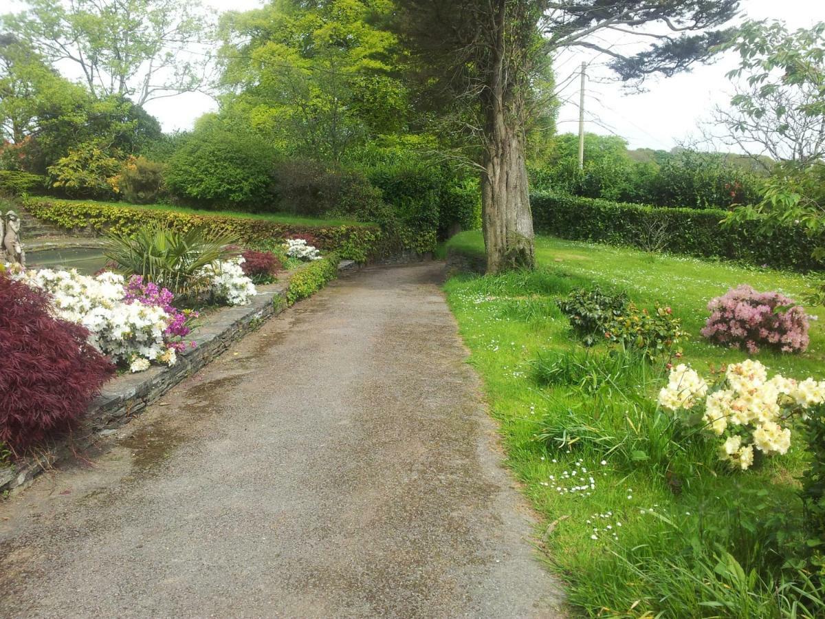 Trelawney Cottage, Sleeps Up To 4, Wifi, Fully Equipped Menheniot Exterior foto